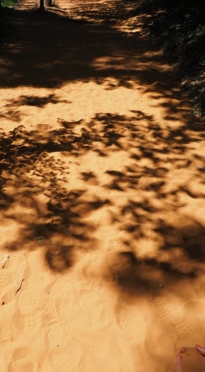 Traces, Sand, Tracks In The Sand, nature, outdoors thumbnail