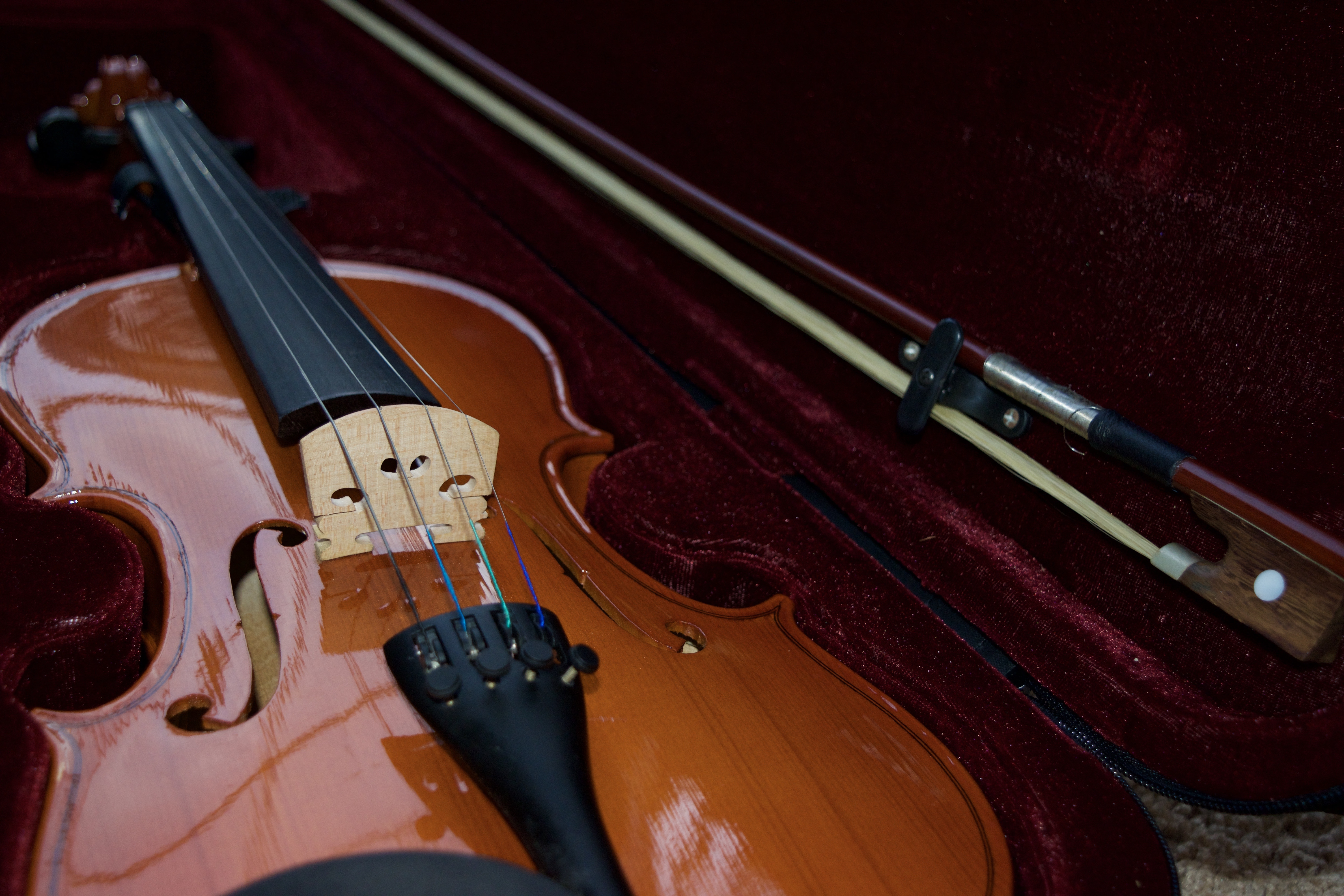 brown violin in case
