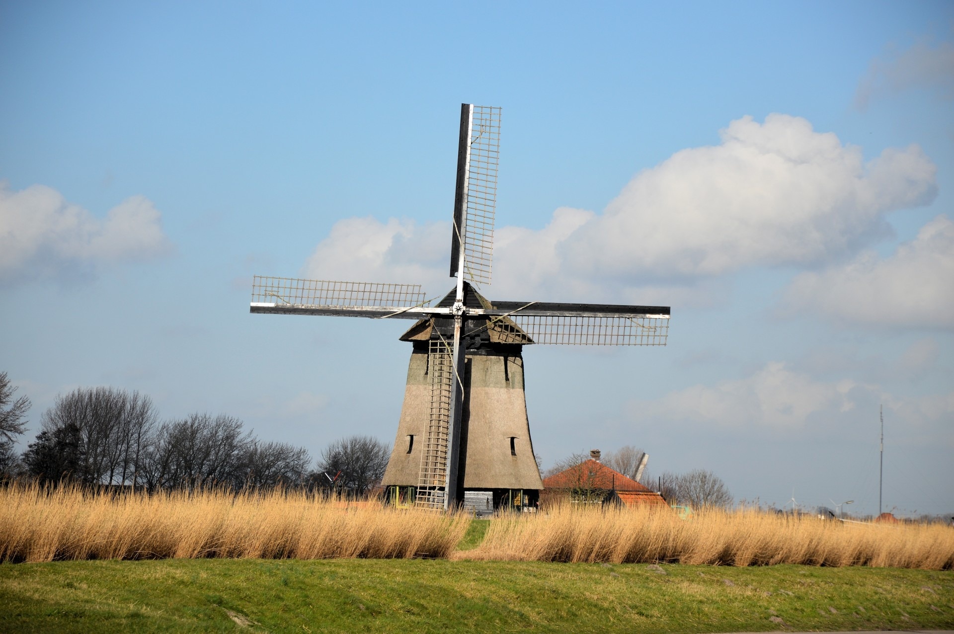 gray and black windmill