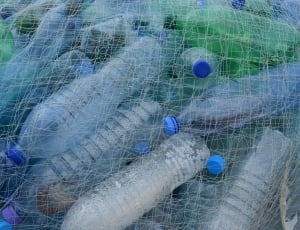 clear plastic disposable bottles thumbnail