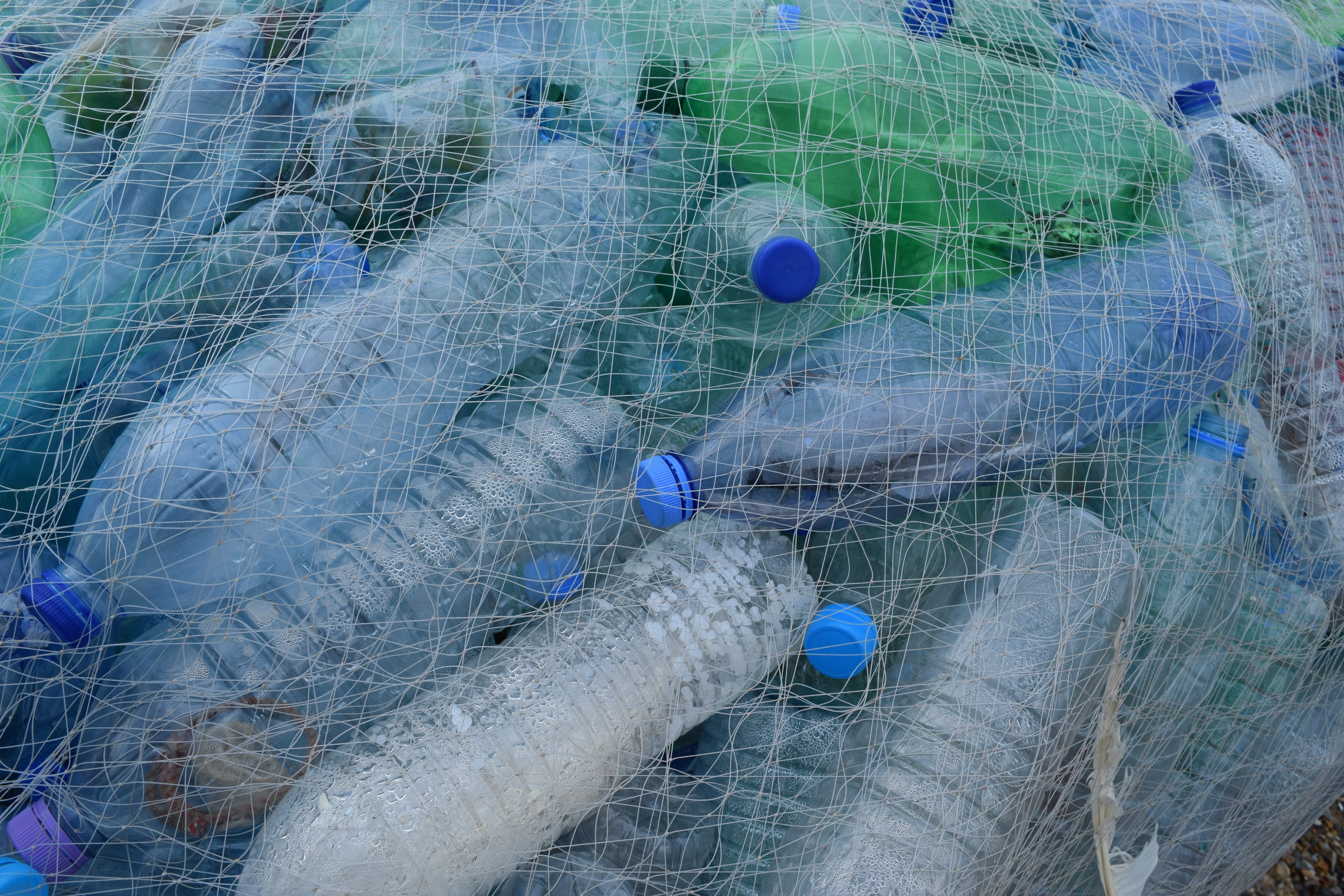 clear plastic disposable bottles