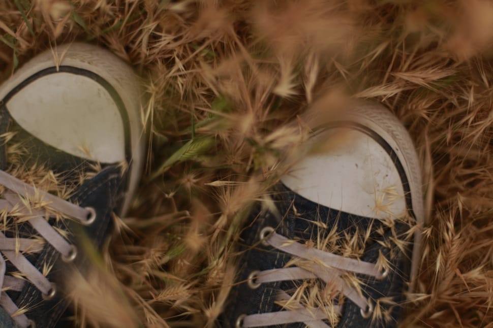 pair of black-and-white low top sneakers in brown grass preview