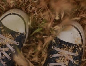 pair of black-and-white low top sneakers in brown grass thumbnail