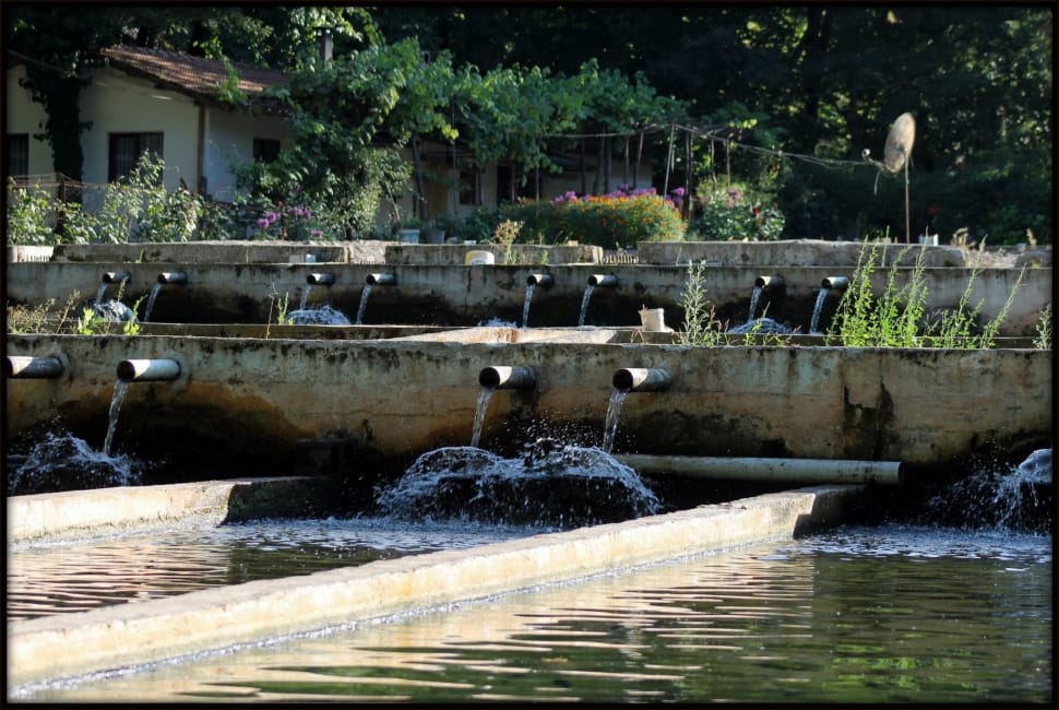 Turkish Turkey Istanbul Forest Fish Water Hydroelectric Power Images, Photos, Reviews