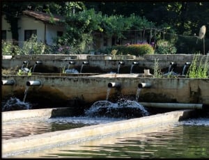 Turkish, Turkey, Istanbul, Forest Fish, water, hydroelectric power thumbnail