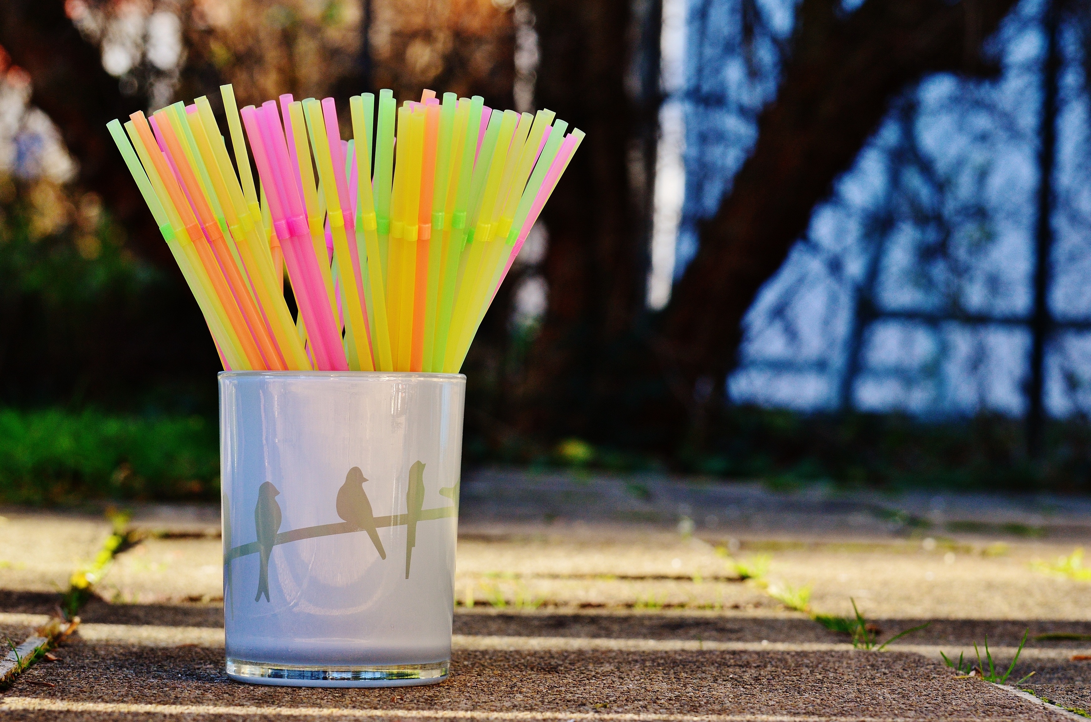 Straws, Color, Drink, Tube, Colorful, multi colored, focus on foreground