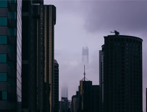 gray high rise buildings thumbnail