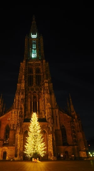 Ulm Cathedral, Christmas, Ulm, Lights, christmas, christmas tree thumbnail