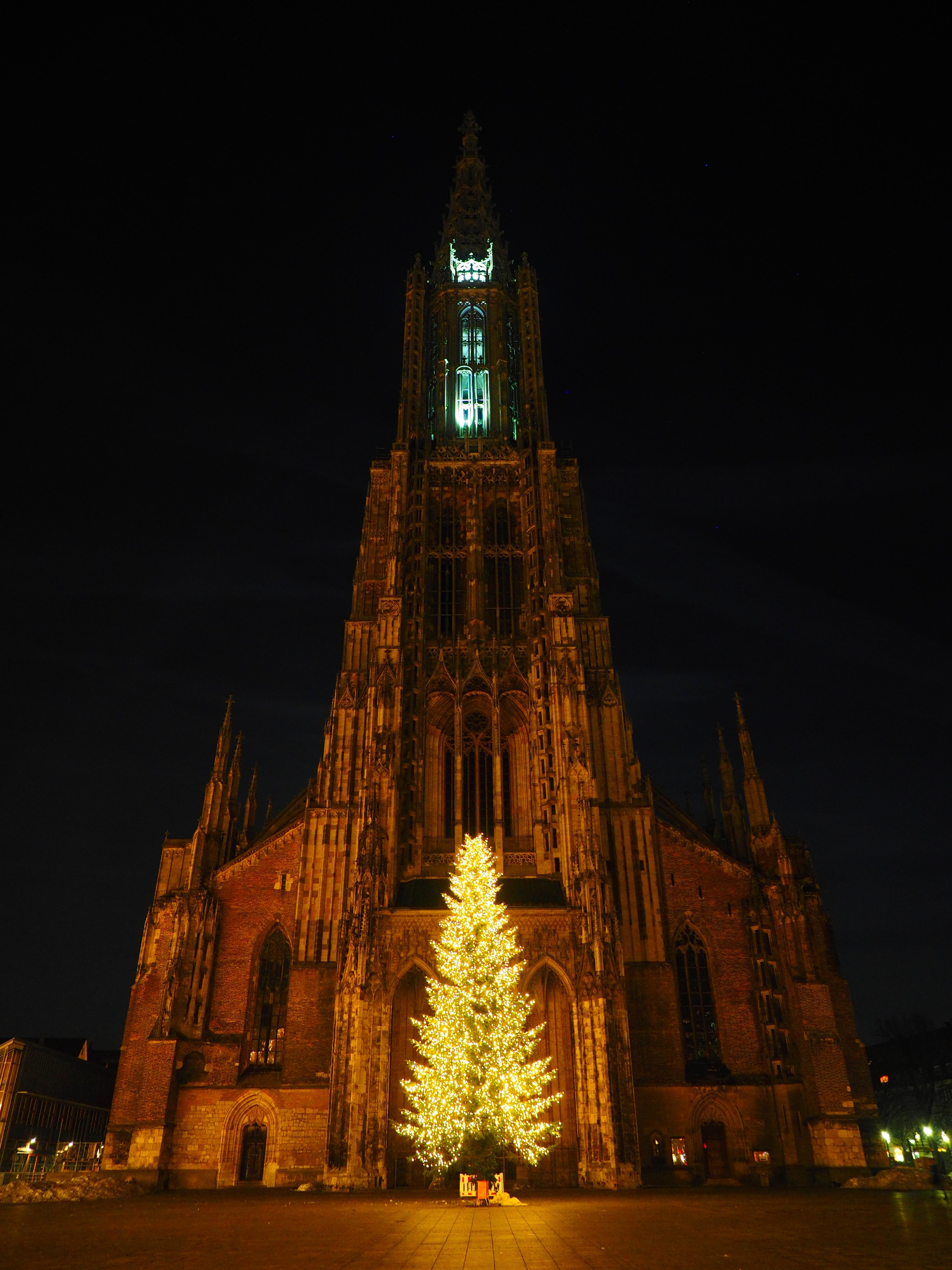 Ulm Cathedral, Christmas, Ulm, Lights, christmas, christmas tree