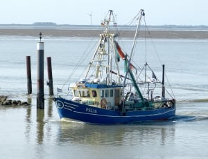 blue and white fishing boat on body of water near brown wooden post thumbnail