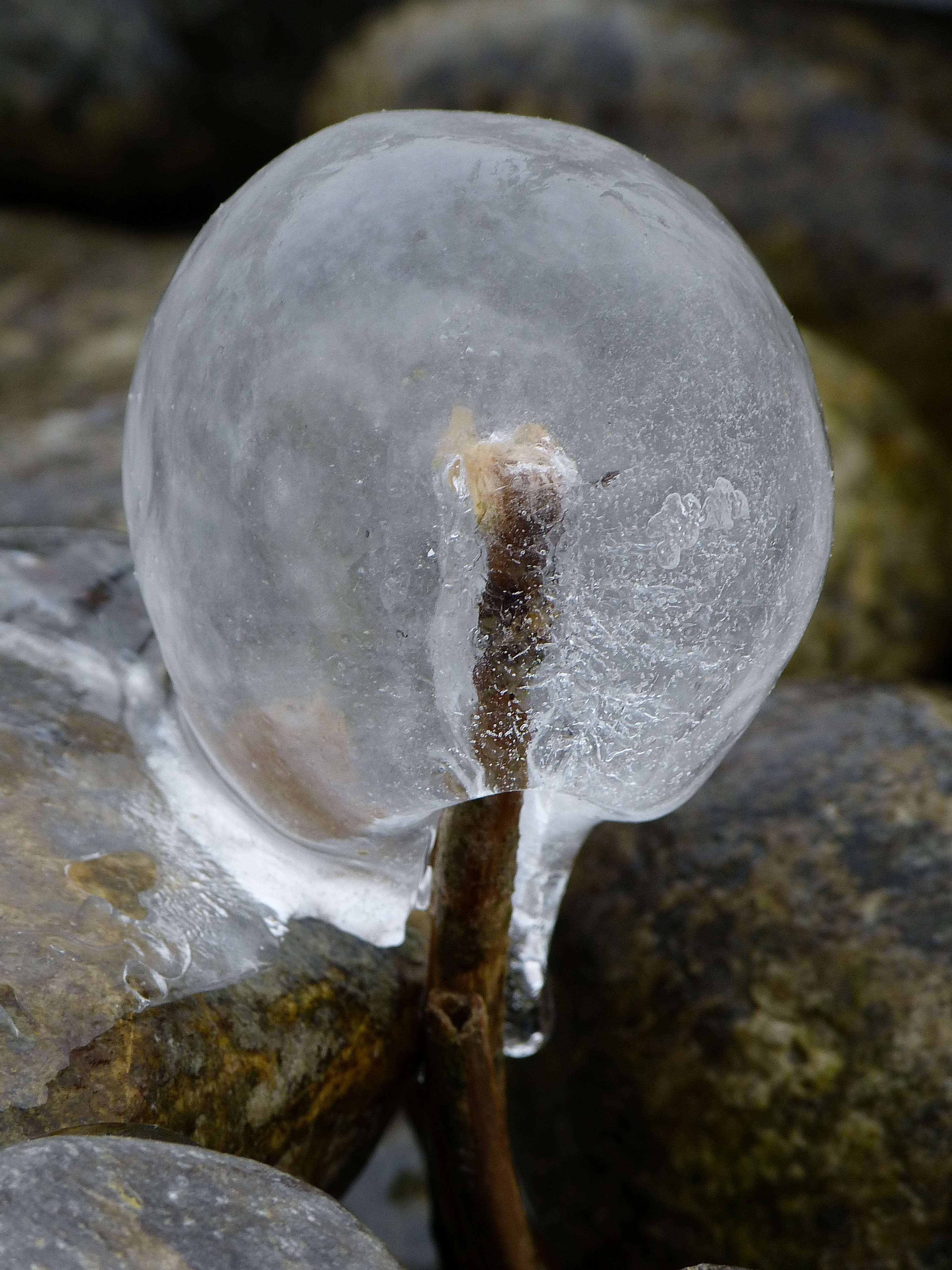 transparent icicle