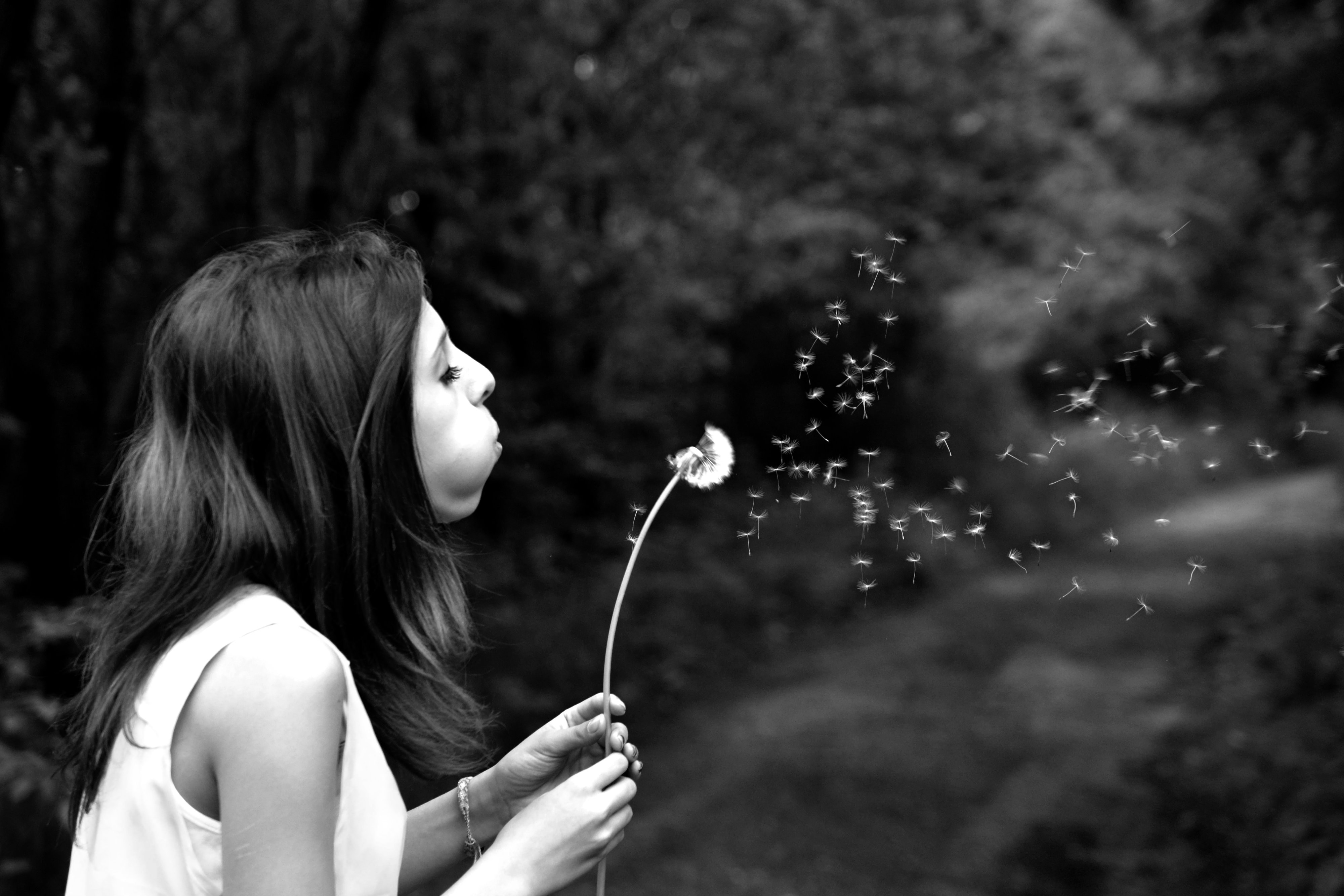 grayscale of woman blowing flower
