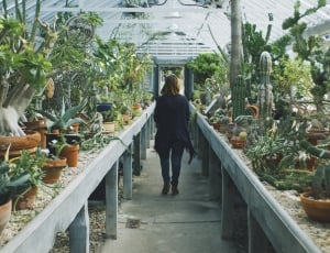 lady in blue walking in aisle photo thumbnail