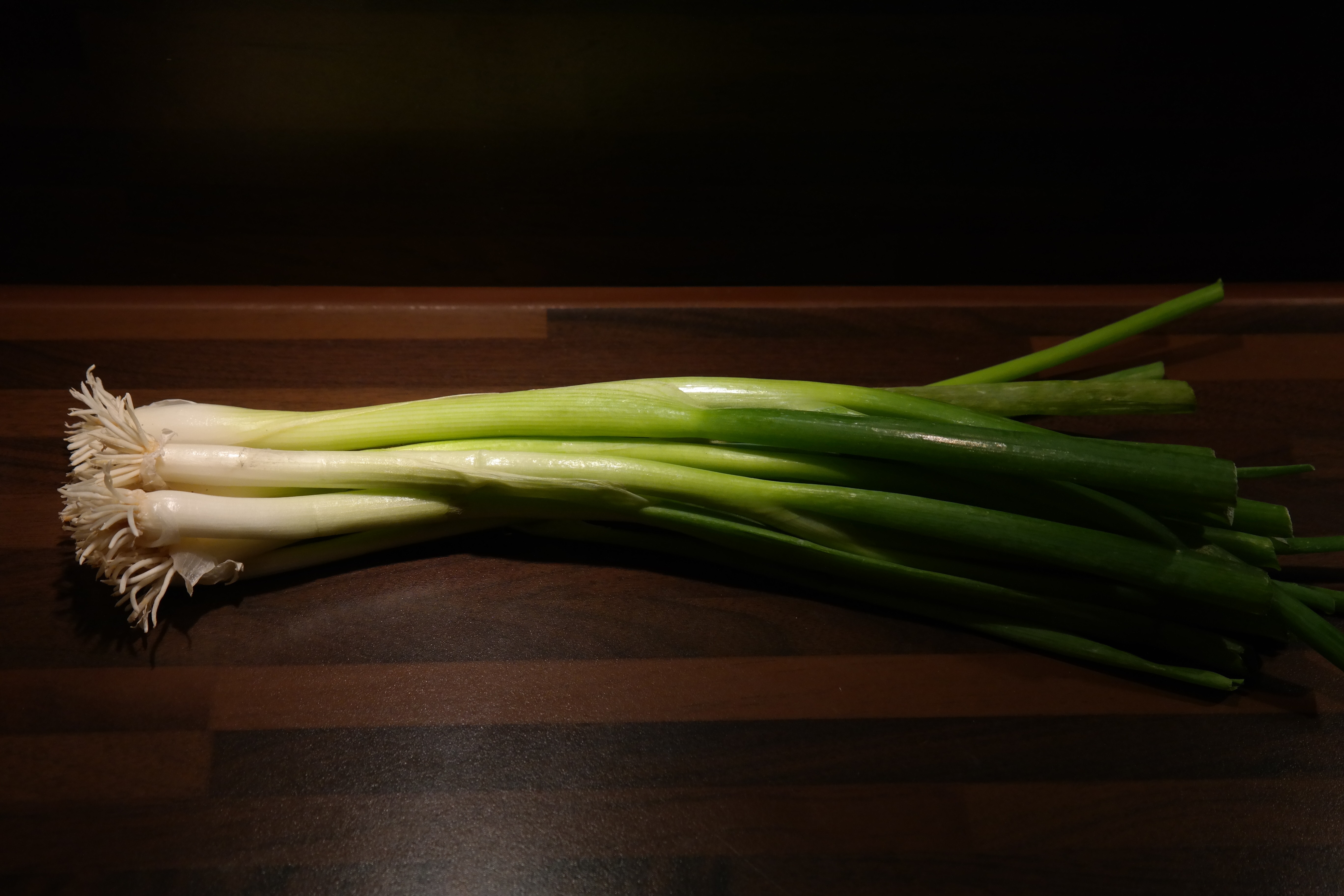 green onion spring