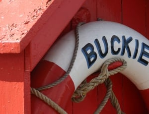 red and white Buckie ring decor thumbnail