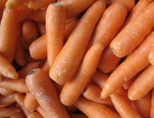 pile of carrots thumbnail