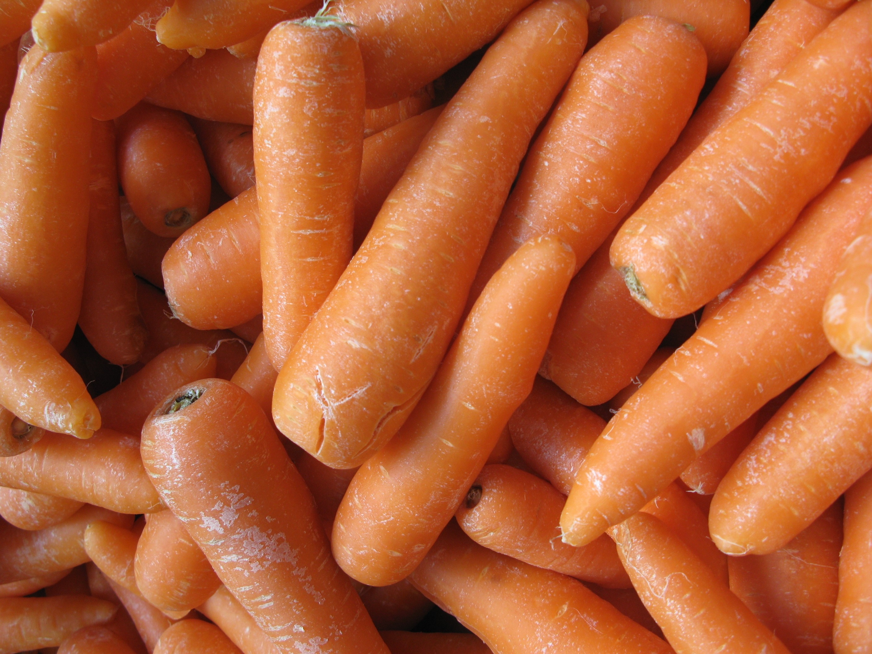 pile of carrots