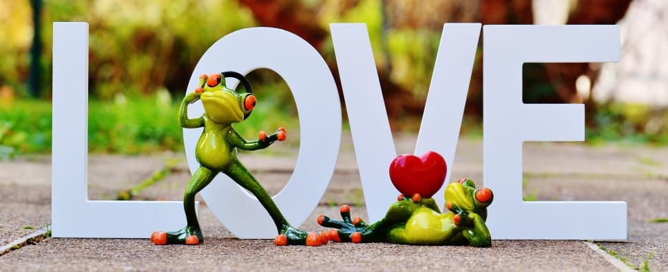 two frogs in front of white love freestanding letters preview