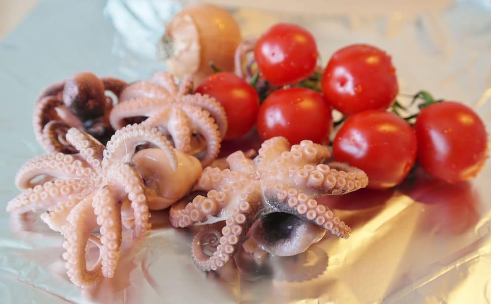 squid and red cherry preview