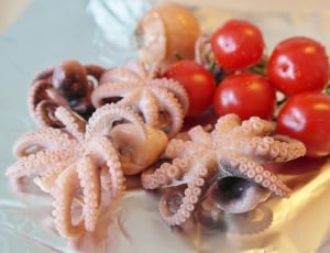 squid and red cherry thumbnail