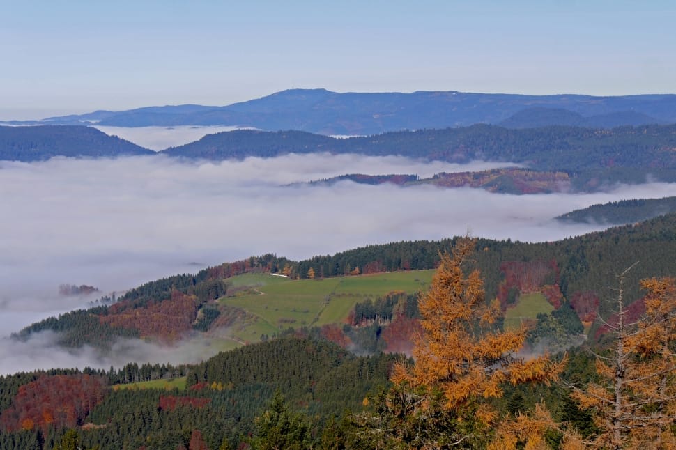 Herbstnebel, Black Forest, Fall Color, mountain, nature preview