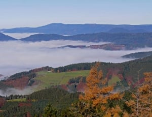 Herbstnebel, Black Forest, Fall Color, mountain, nature thumbnail