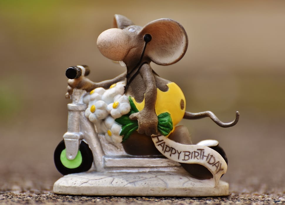 Cute, Birthday, Roller, Fig, Mouse, childhood, no people preview