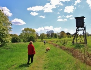 green grass, brown short coated dog, wooden post, and person wearing red sweater and black bottosm outfit thumbnail