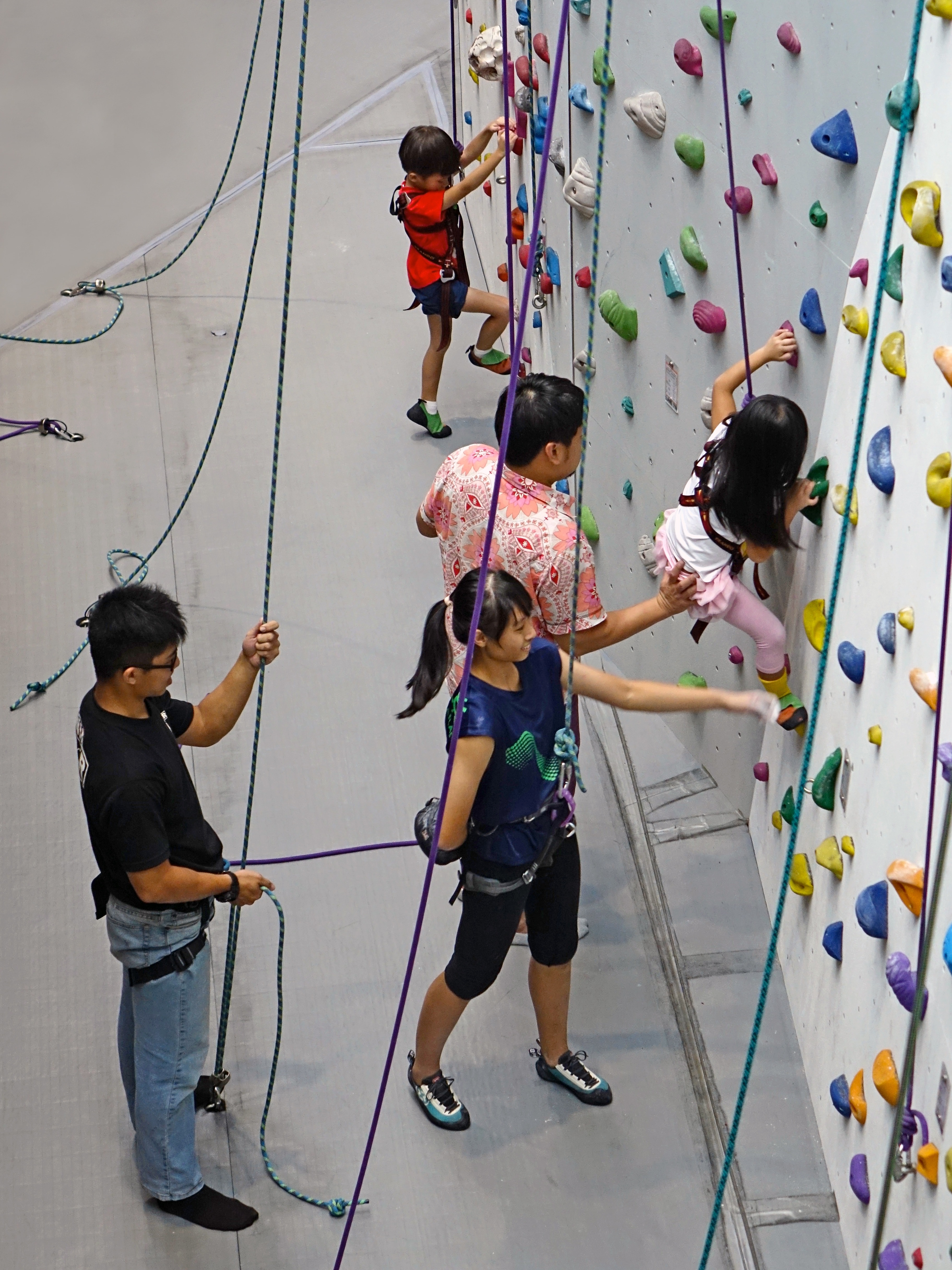 white blue and yellow multicolored climbing wall