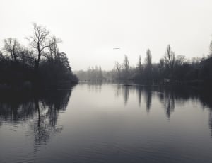 grayscale photo of lake and trees thumbnail
