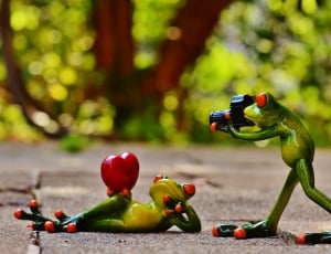 2 frog doing photography thumbnail