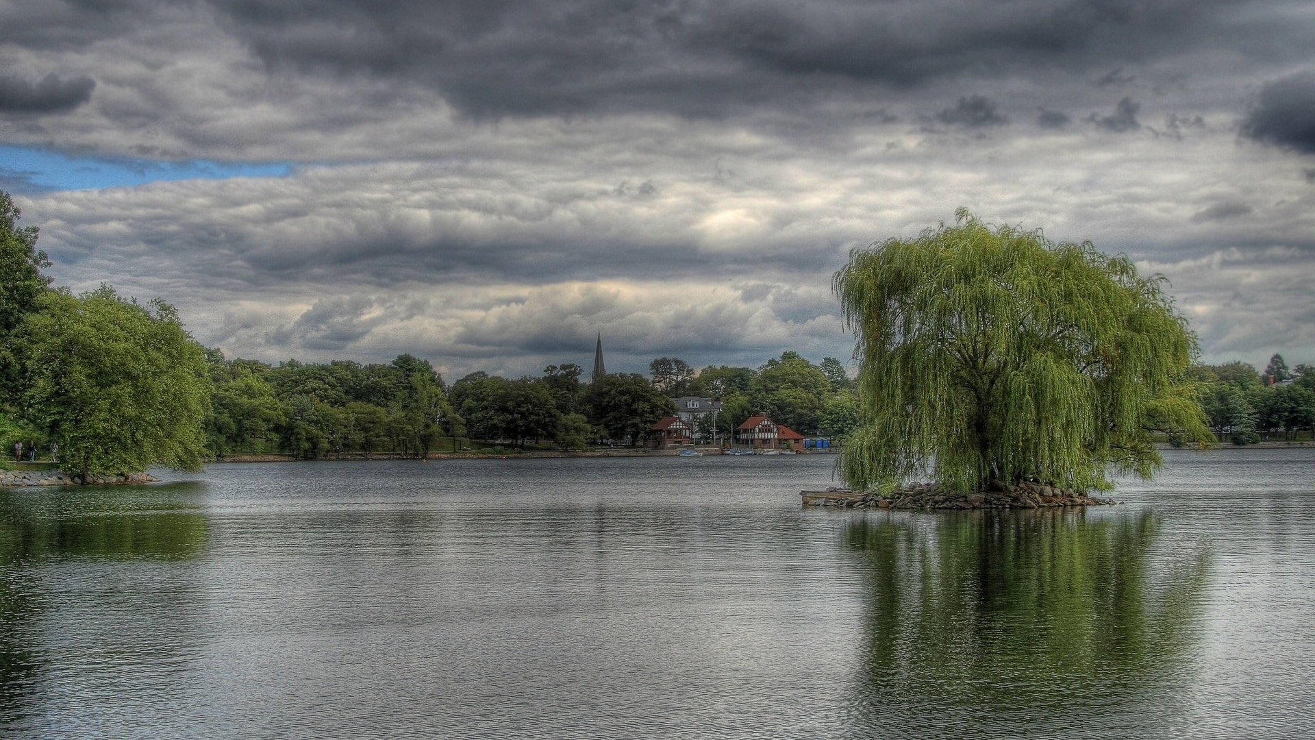 green trees on body of water under grey sky