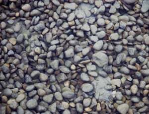 Mud, Brown, Bank, Water, Stones, Lake, pebble, full frame thumbnail