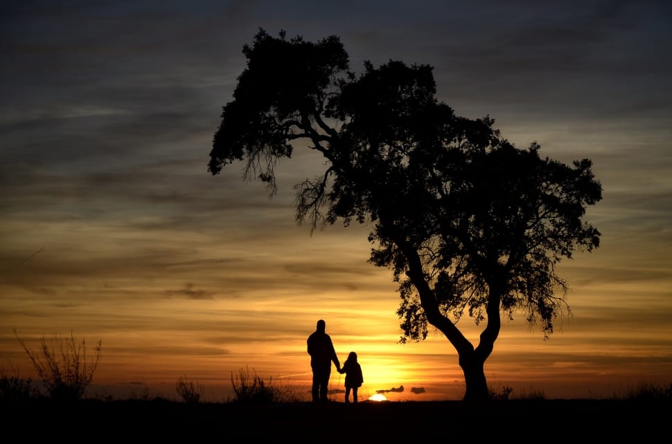silhouette view of man and girl standing near tree preview
