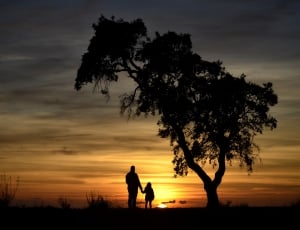 silhouette view of man and girl standing near tree thumbnail
