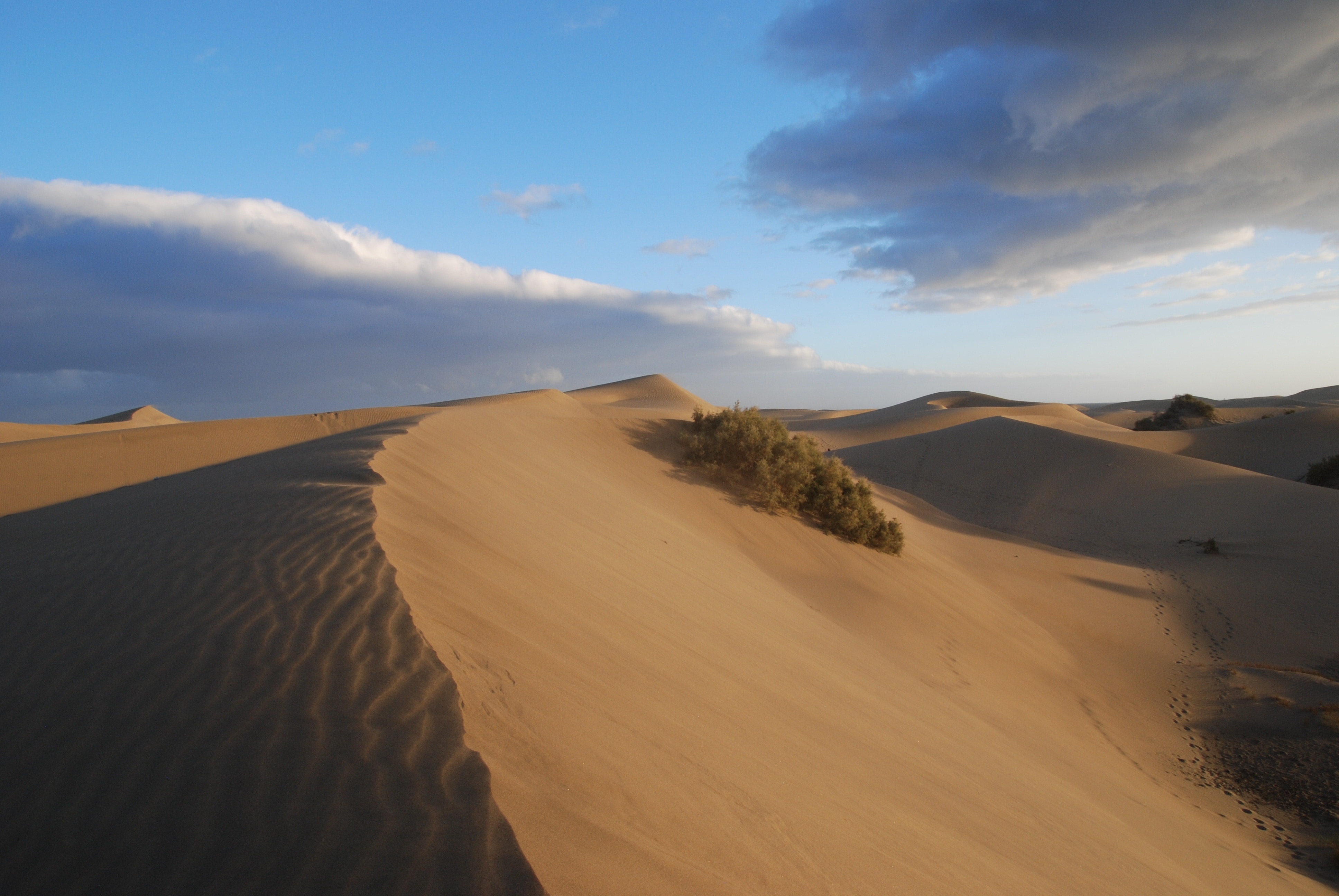 2560x1440 wallpaper | desert sand | Peakpx