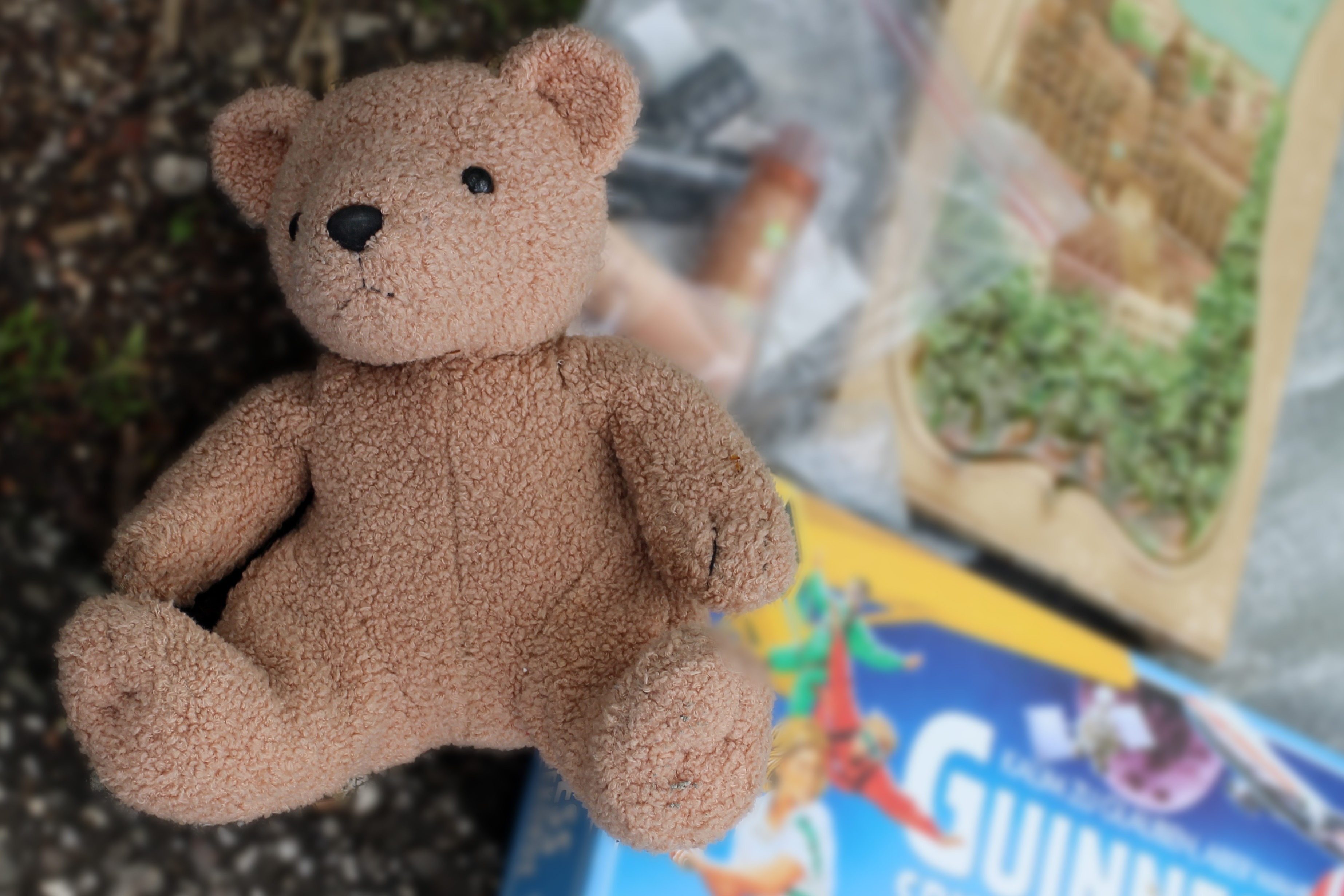 brown bear plush toy