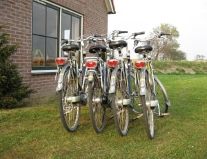 Bicycle, Holiday, Netherlands, grass, transportation thumbnail
