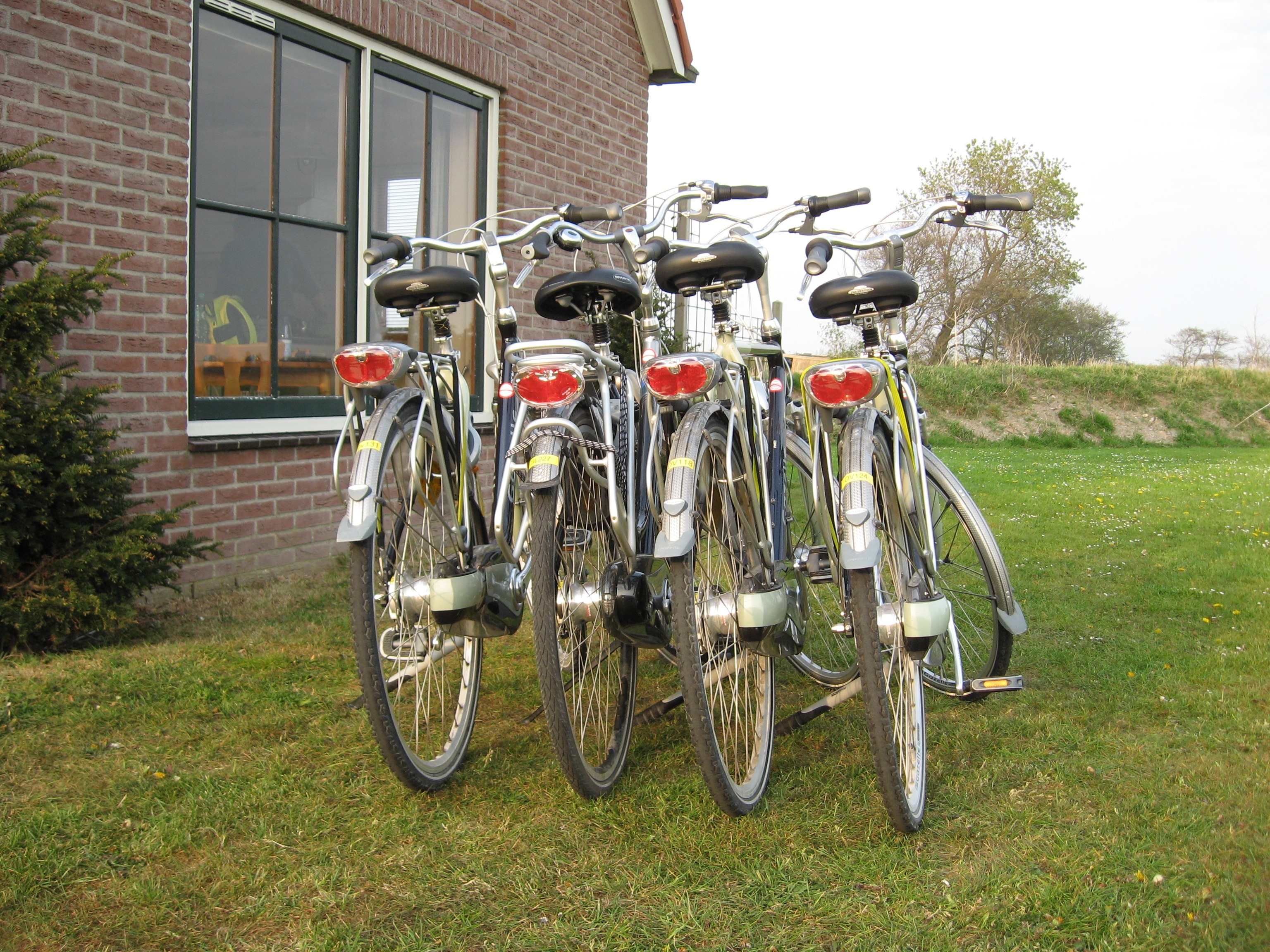 Bicycle, Holiday, Netherlands, grass, transportation