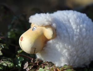white sheep plush toy thumbnail