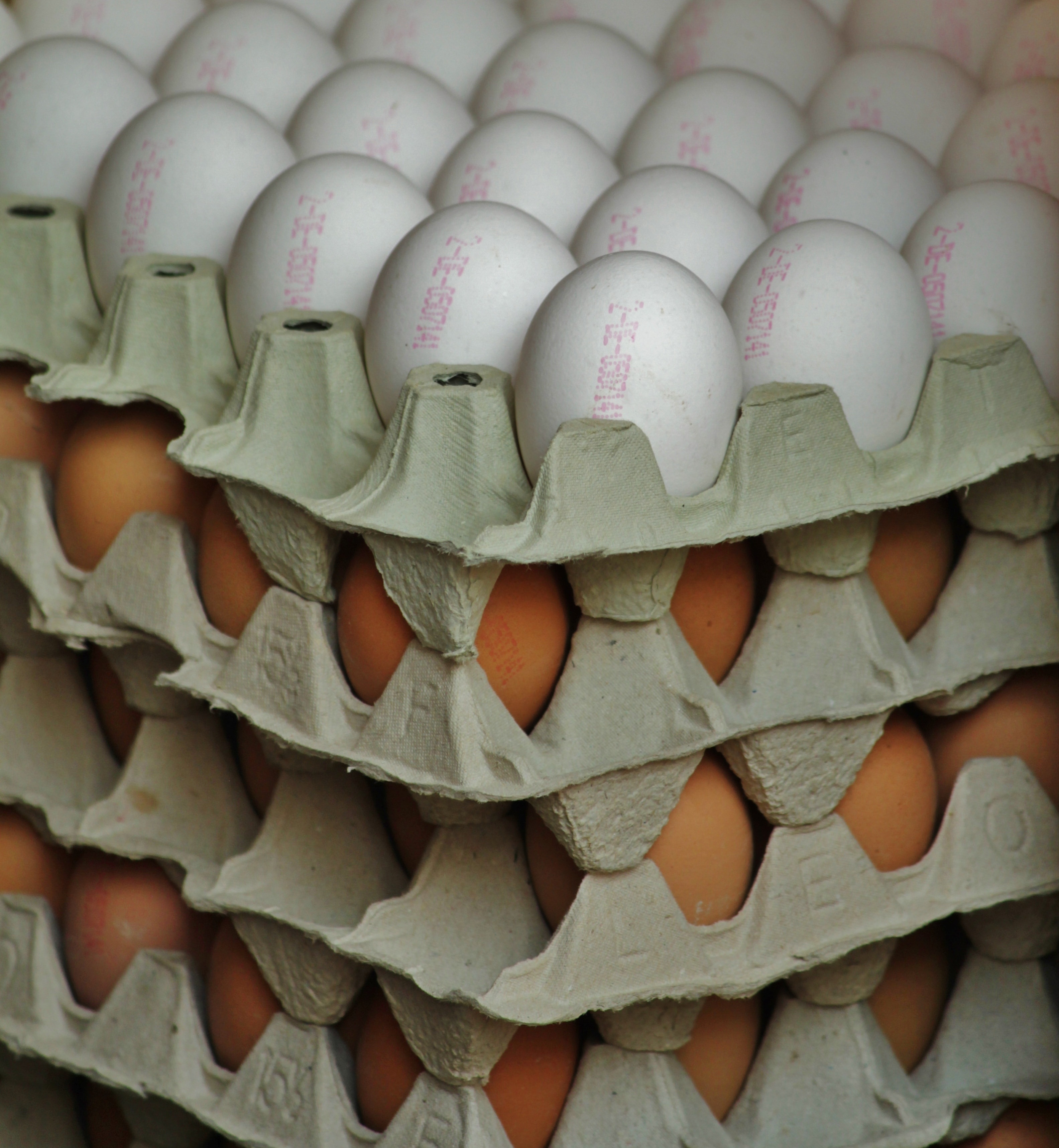 Egg Carton, Hen'S Egg, Egg, Egg Shells, egg, large group of objects