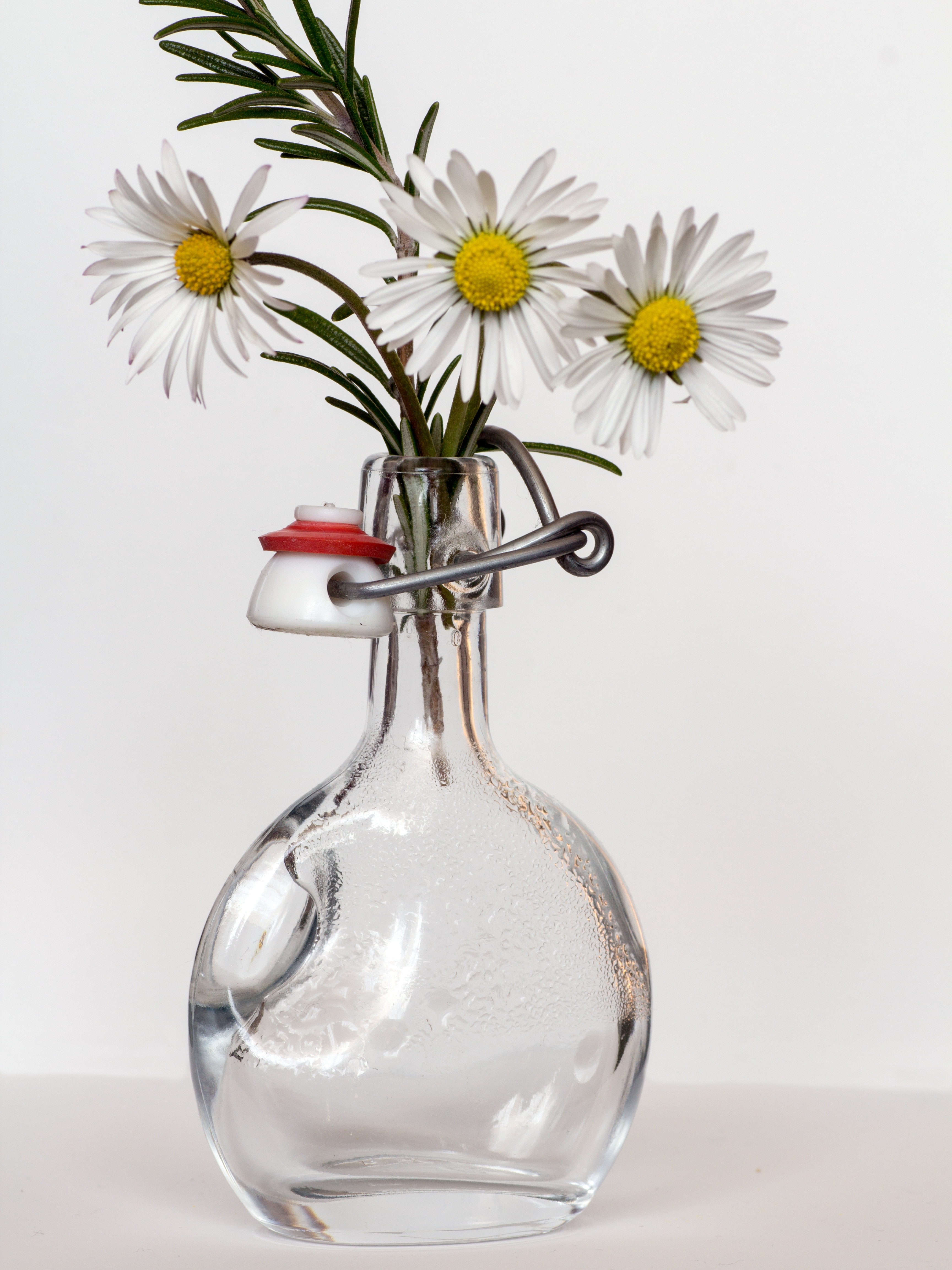 white daisies in clear glass vase