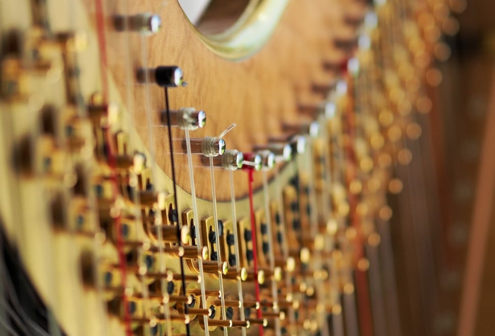 Harp, String, Tension, Concert, selective focus, wine preview