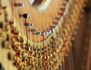 Harp, String, Tension, Concert, selective focus, wine thumbnail