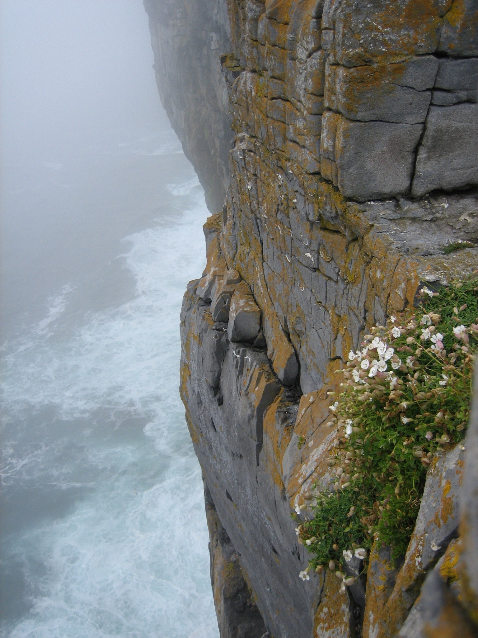 ocean cliff