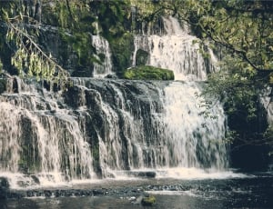 forest waterfalls thumbnail