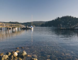 beige wooden bridge beside dock during daytime thumbnail