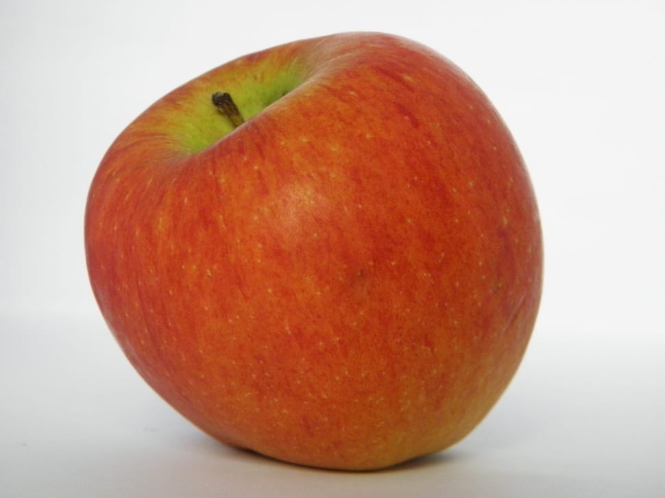 close up photo of apple fruit preview