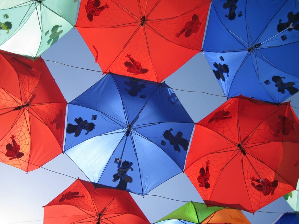blue and red umbrellas preview