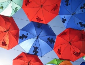 blue and red umbrellas thumbnail
